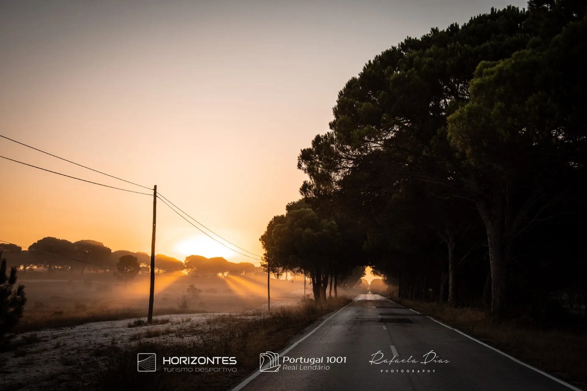 Portugal1001 - main photo