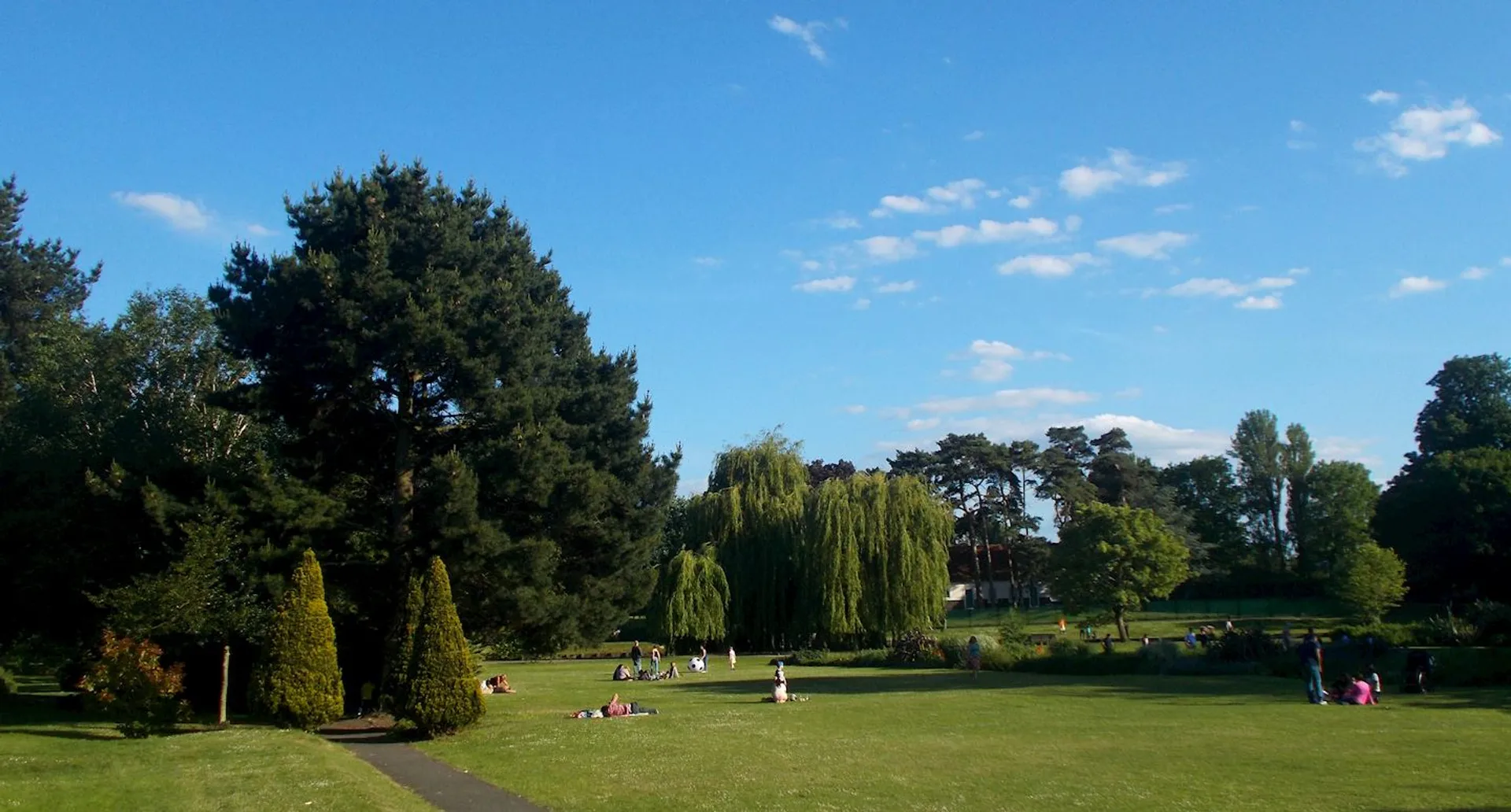 The image shows a park on a clear day. There's a large grassy area with people scattered around, some sitting or lying down. Trees, including a prominent pine and some weeping willows, provide a scenic backdrop. The sky is blue with a few scattered clouds.