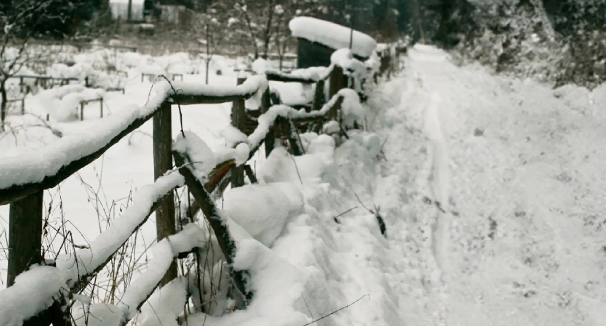 slawit snowstorm shuffle