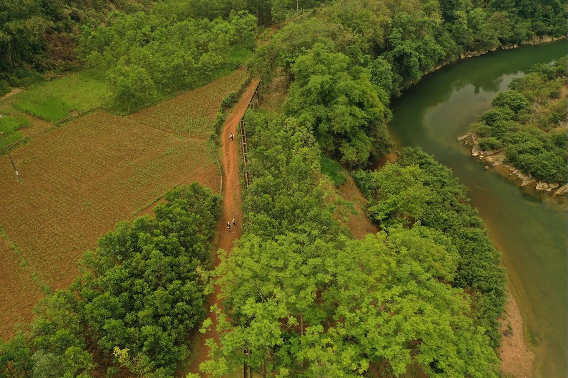 Image of Cuc Phuong Jungle Paths