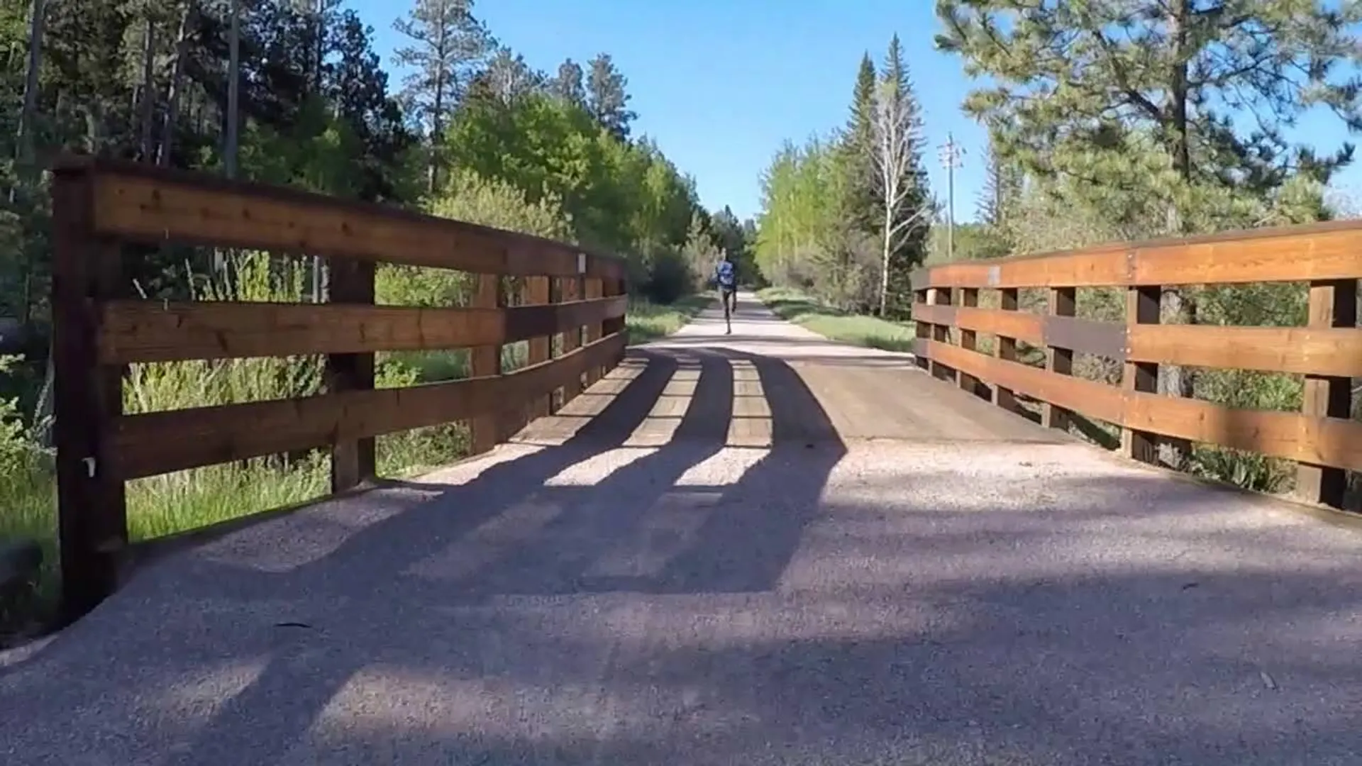 The image shows a paved path or trail flanked by wooden fences on both sides