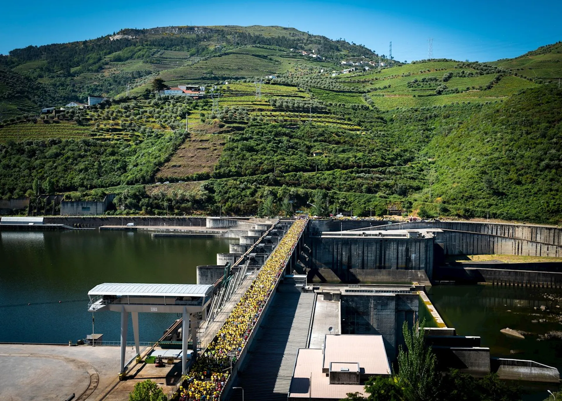 Image of Meia Maratona do Douro Vinhateiro