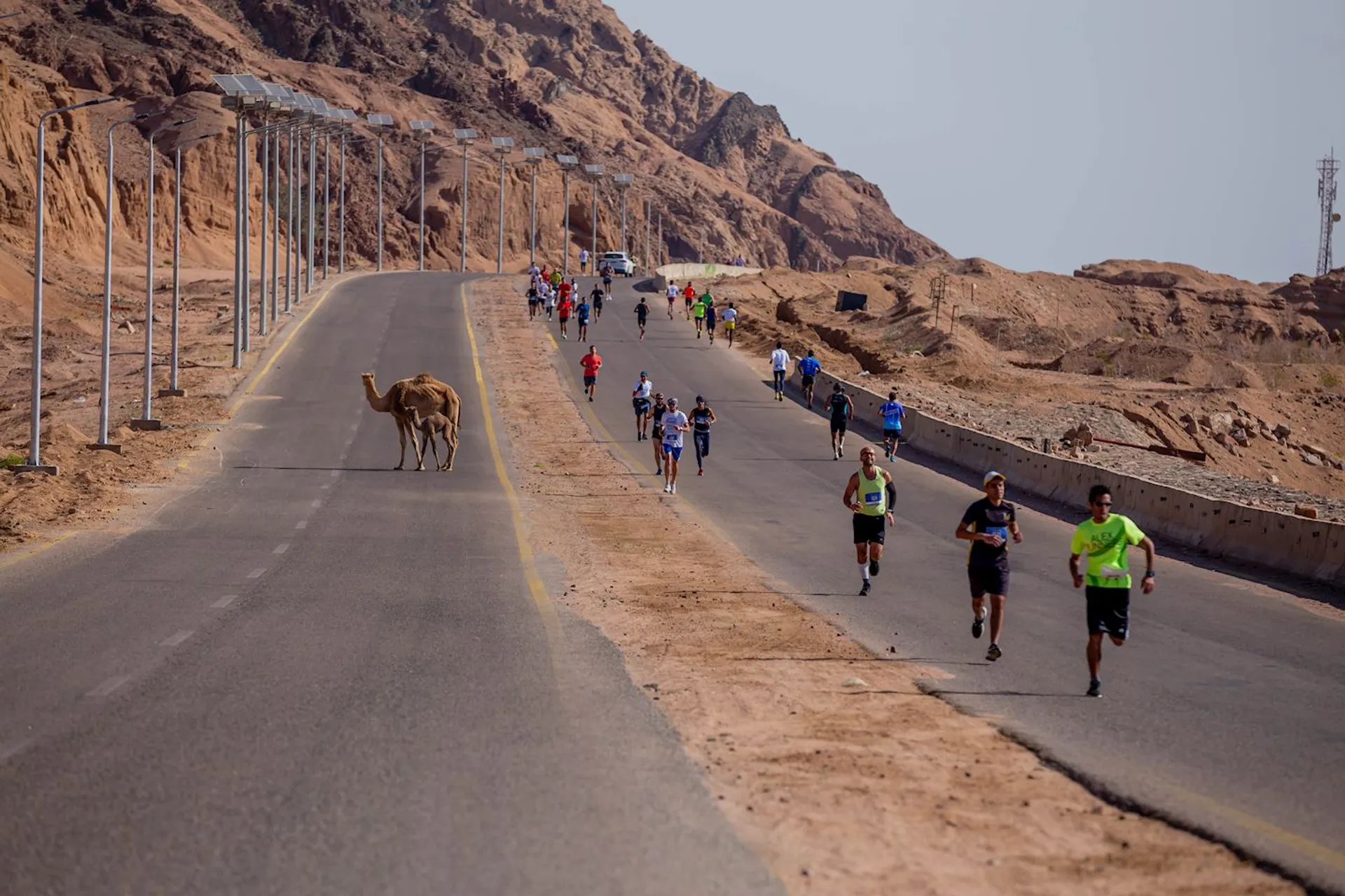 Image of Dahab 10K Race - South Sinai
