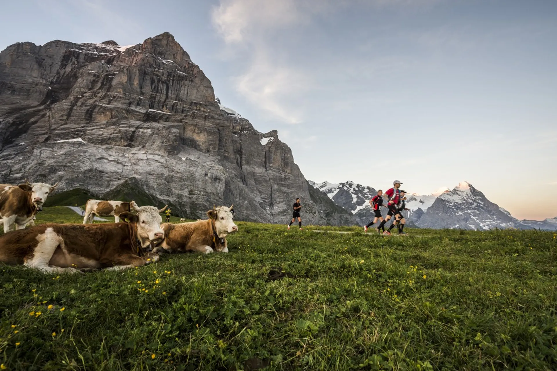 Eiger Ultra Trail by UTMB