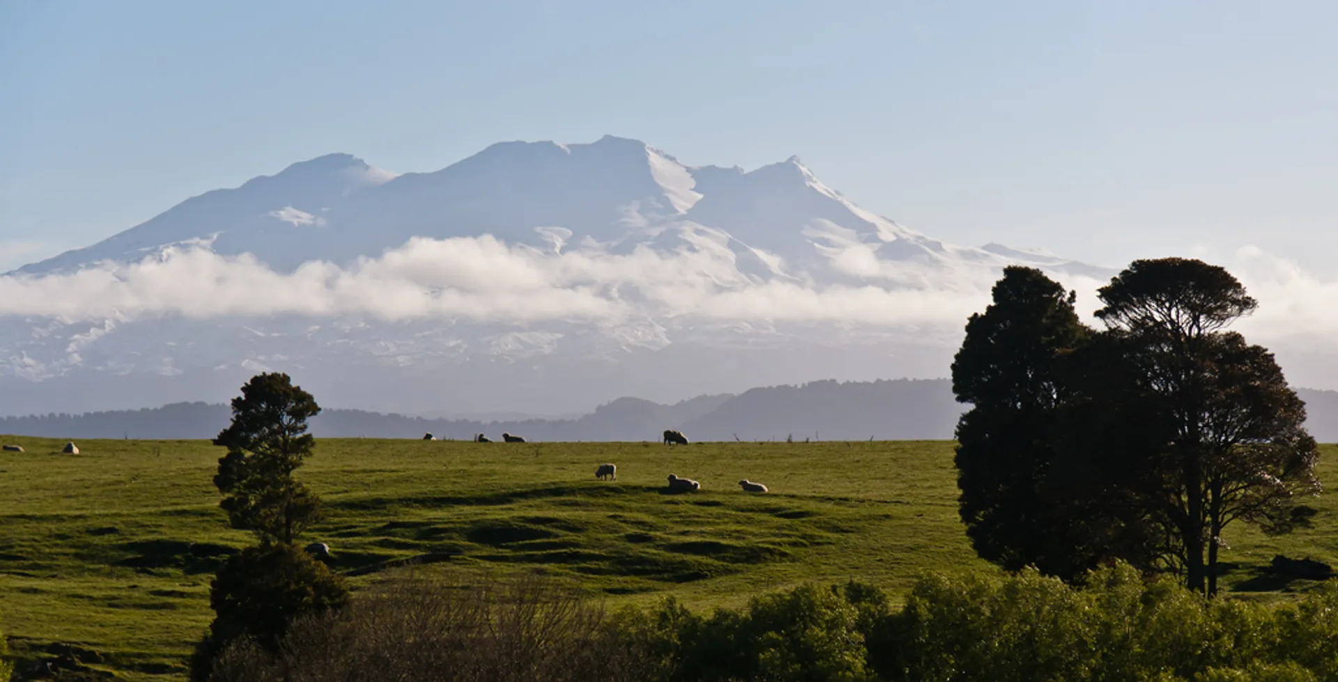 The image features a picturesque landscape with a snow-capped mountain in the background,
