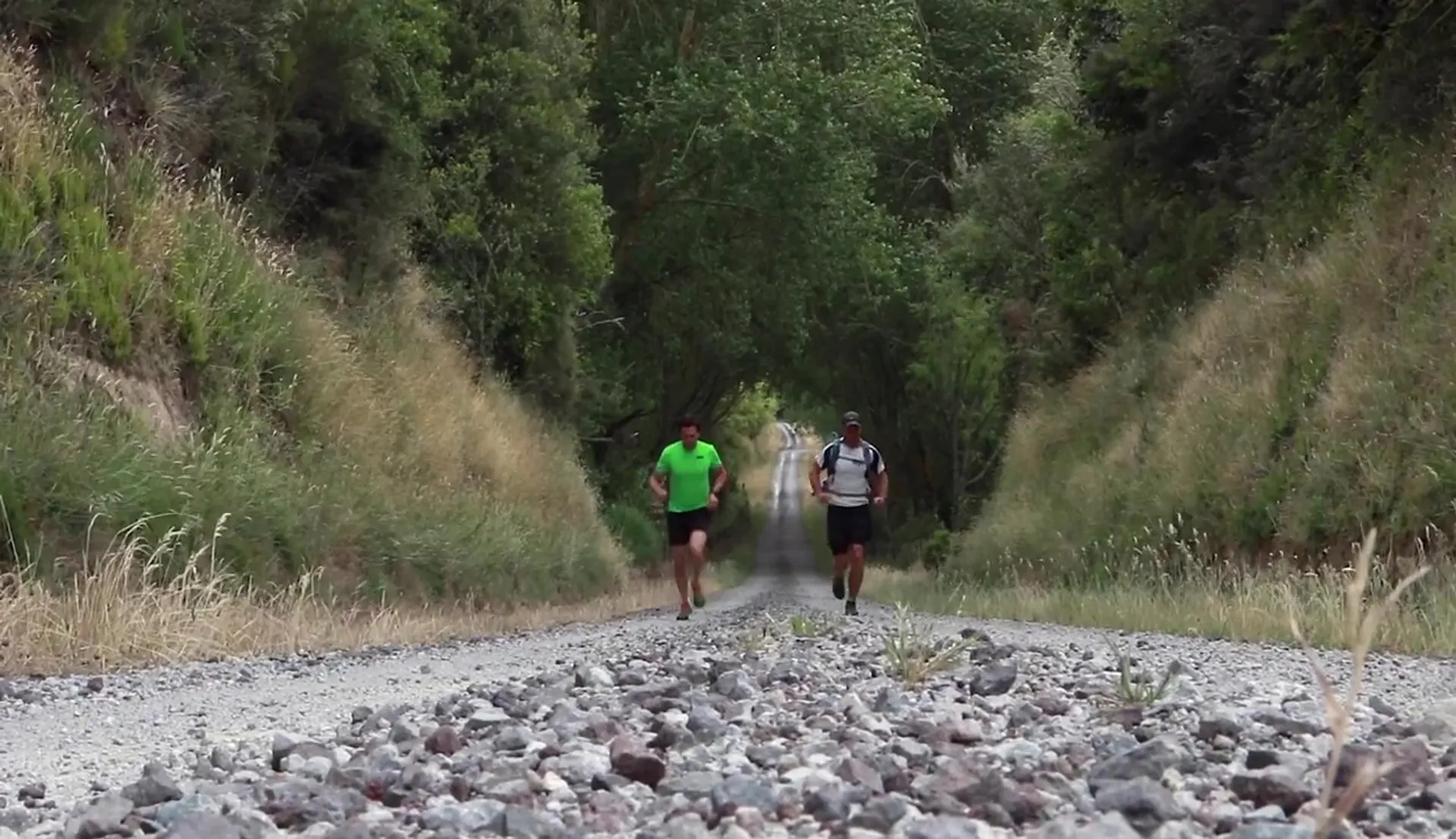The image shows a gravel road or trail leading through a natural area with tall grass