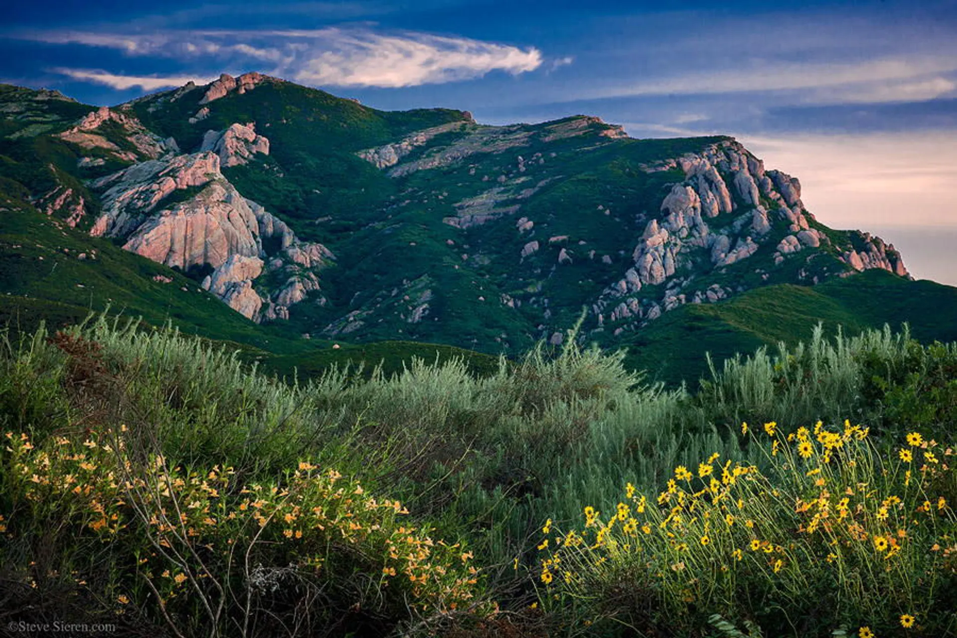 Ray Miller 50/50 - main photo