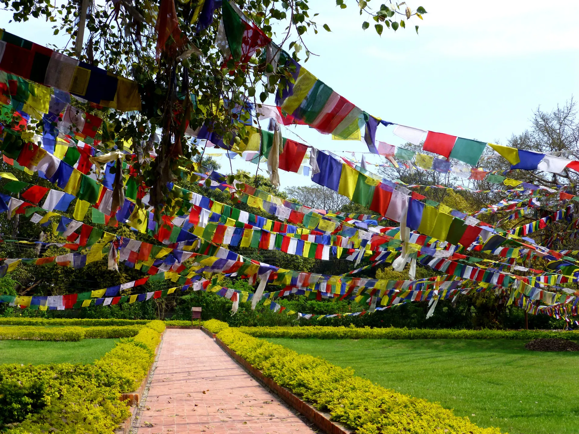 The image displays a garden or park with numerous colorful prayer flags strung across the