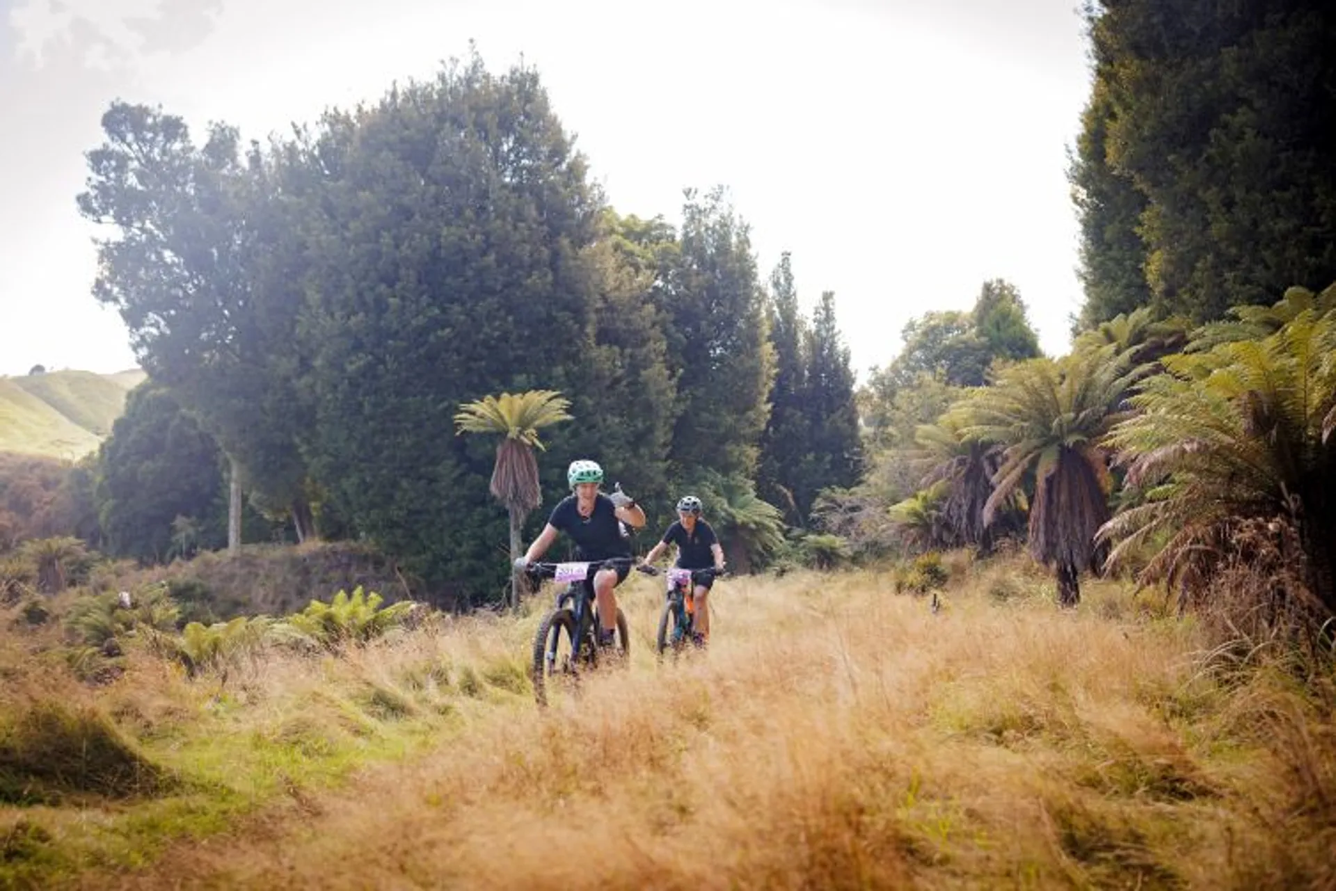 The image shows two cyclists riding on a grassy trail surrounded by lush trees and ferns. They appear to be in a natural, outdoor setting, possibly a park or forested area. The cyclists are wearing helmets and are on mountain bikes. The scenery is vibrant and green.