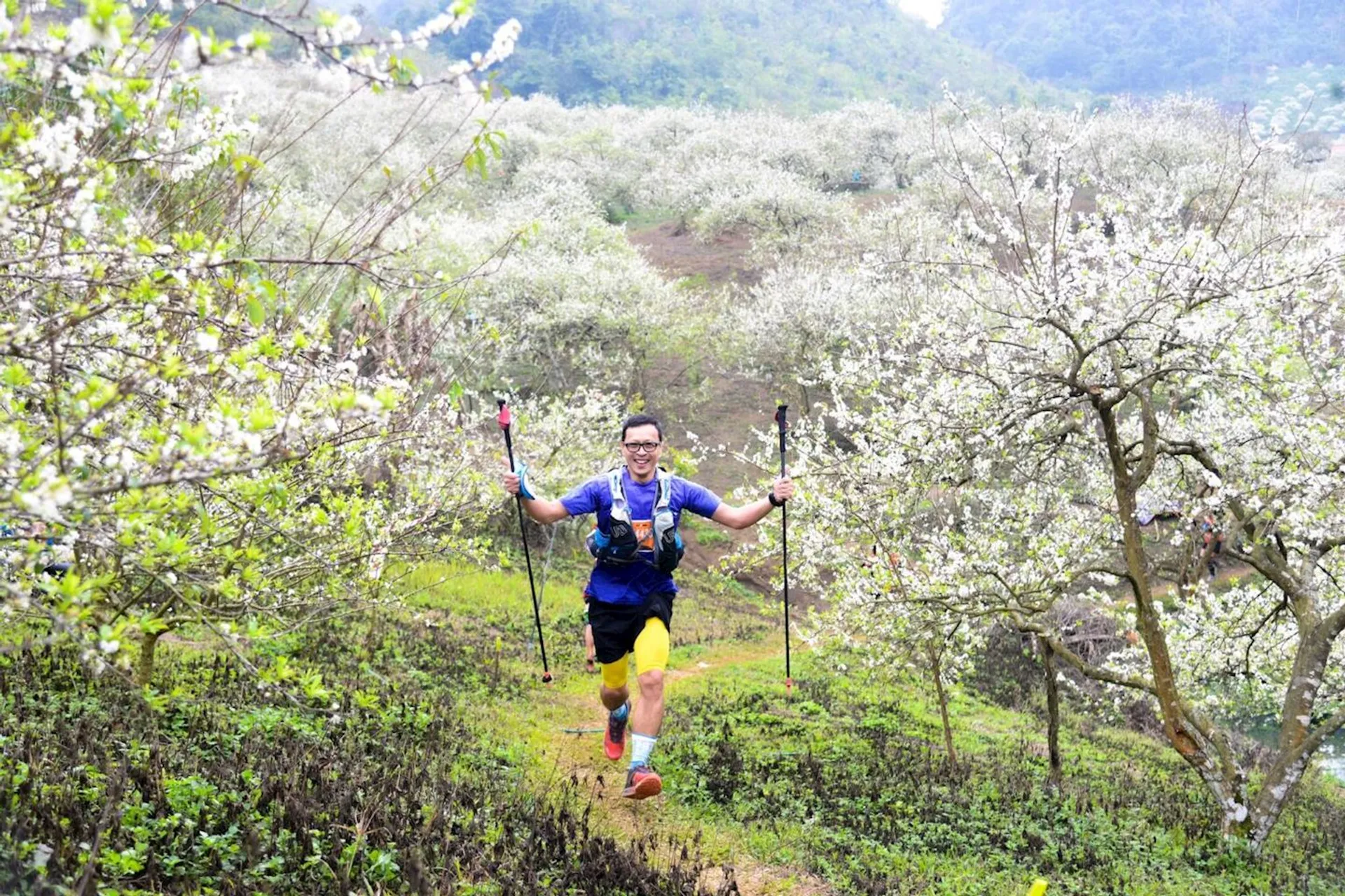 The image shows a person trail running through a beautiful landscape of what appears to be a flowering orchard. The runner is equipped with running attire suitable for outdoor activities, such as a t-shirt, shorts, and running shoes, and is also using trekking poles. The trees are in full bloom with white flowers, suggesting it might be springtime. The terrain is grassy and uneven, with a slight incline, which is typical for trail running environments. The runner seems to be enjoying the activity, as indicated by the smile on his face.