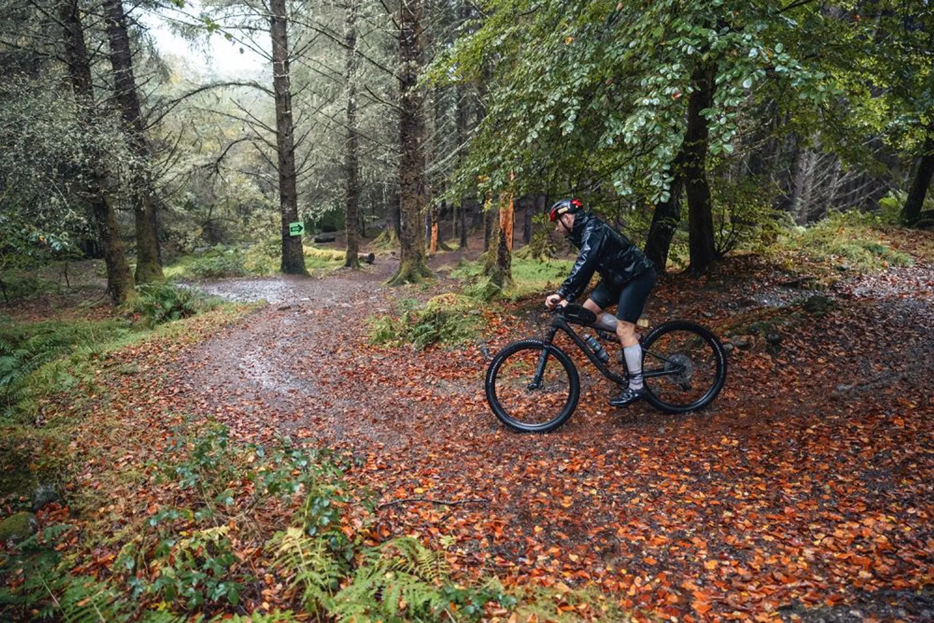 The image shows a person riding a bicycle through a forested area. The ground is covered with orange and brown leaves, indicating it might be autumn. The cyclist is wearing dark clothing, possibly a rain jacket and shorts, and appears to have protective gear, suggesting that they might be mountain biking. Rain or recent rain is suggested by the shiny wet surfaces and what might be moisture in the air. There is a path in the forest, winding alongside trees, and the setting looks serene and natural.