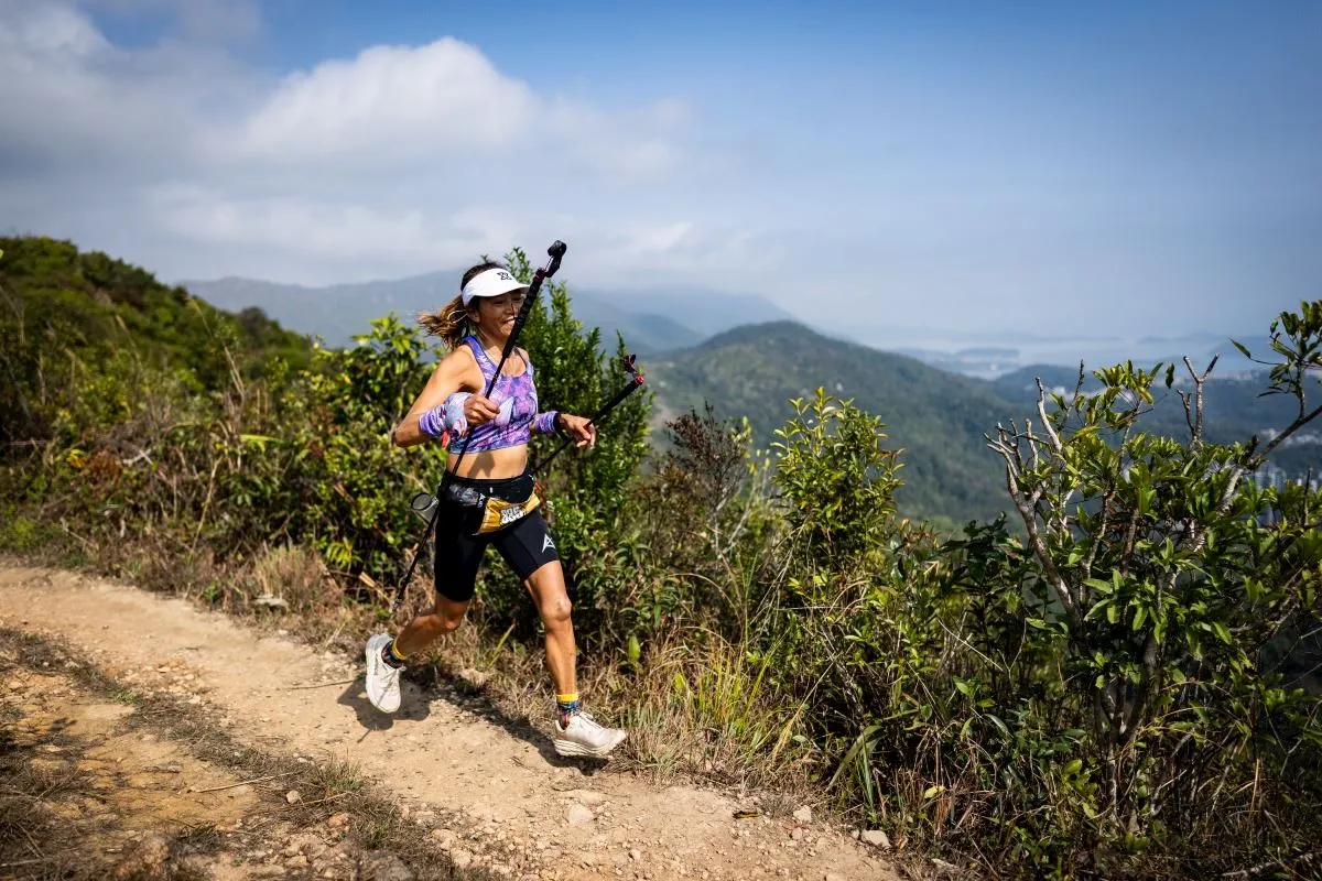 9 DRAGONS ULTRA 2026 visual data 4