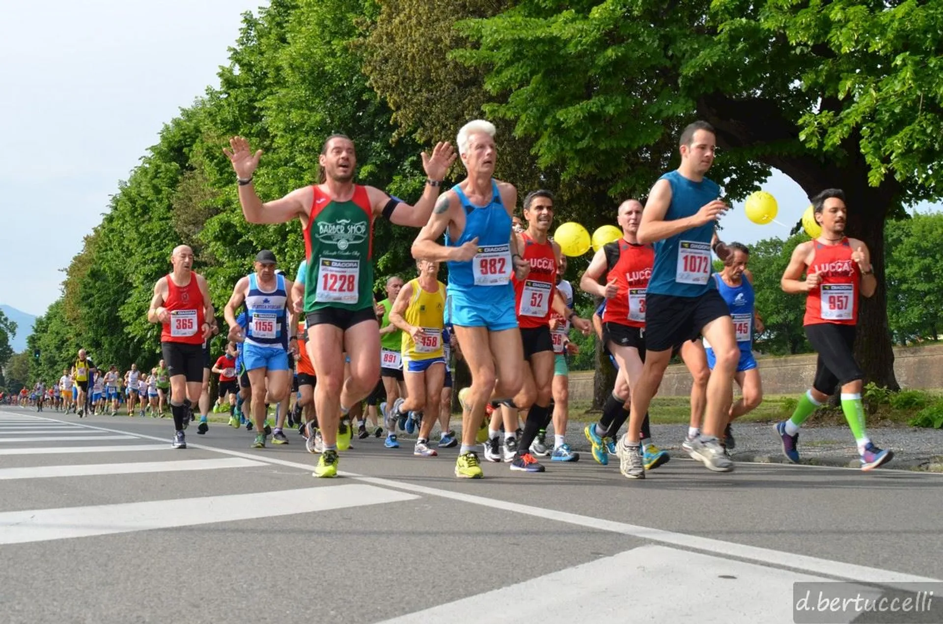 Lucca Half Marathon