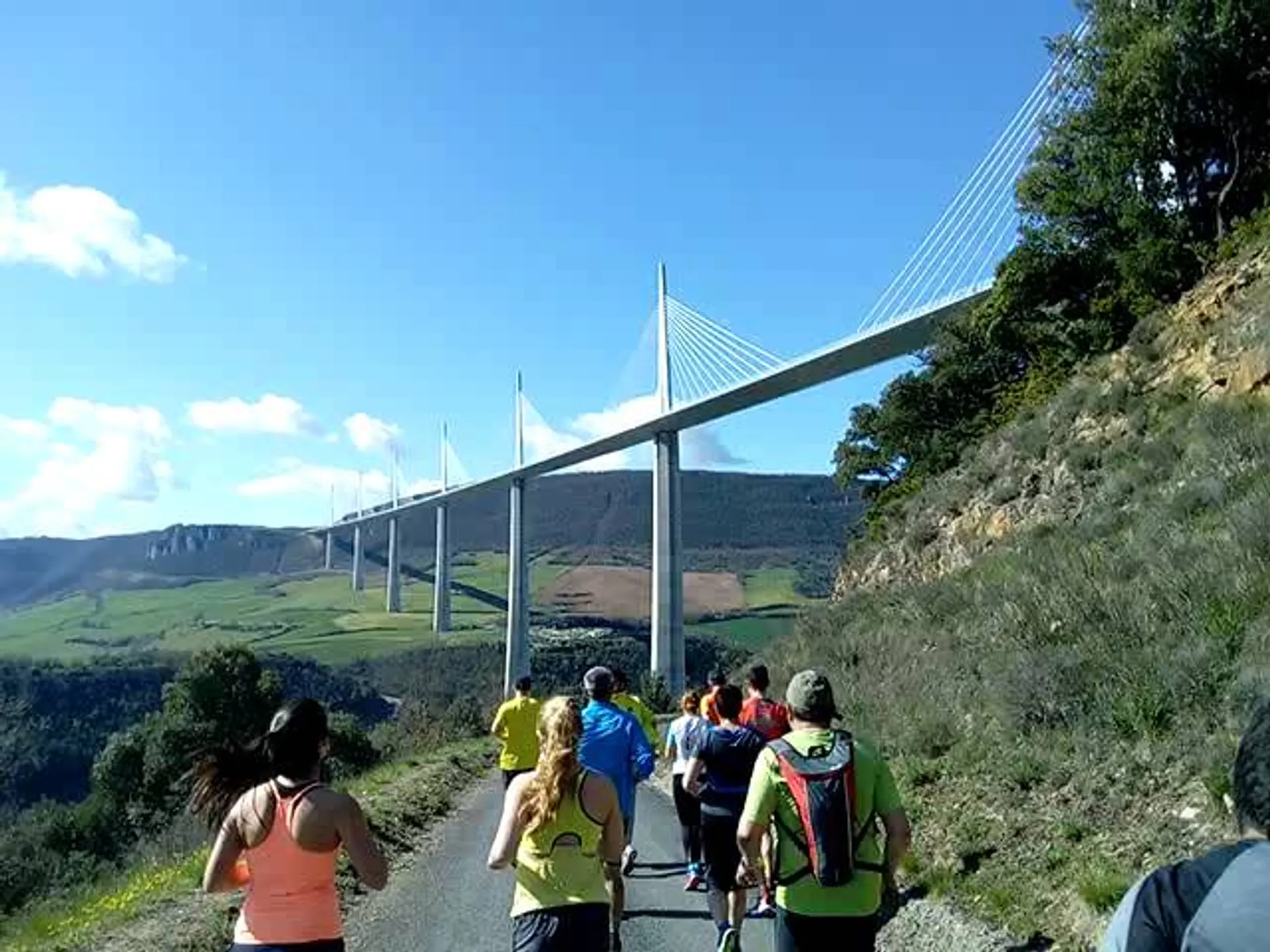 This image shows a group of runners, likely participating in a race or a group