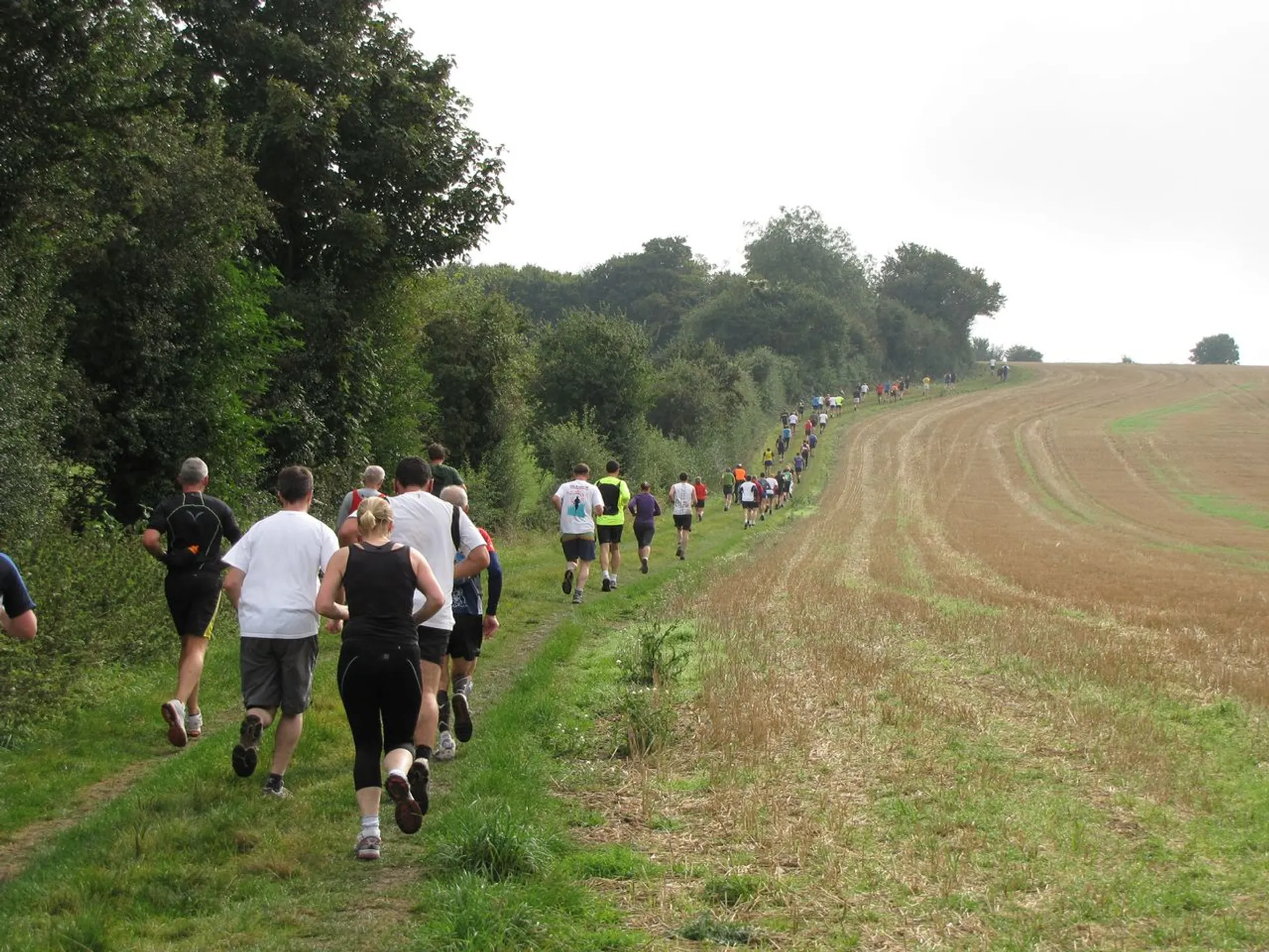 The image depicts a group of people participating in a running event. They are running