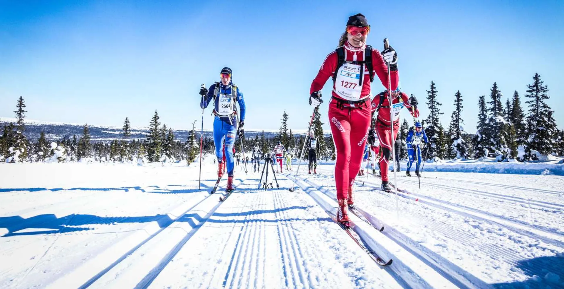 Birkebeinerrennet