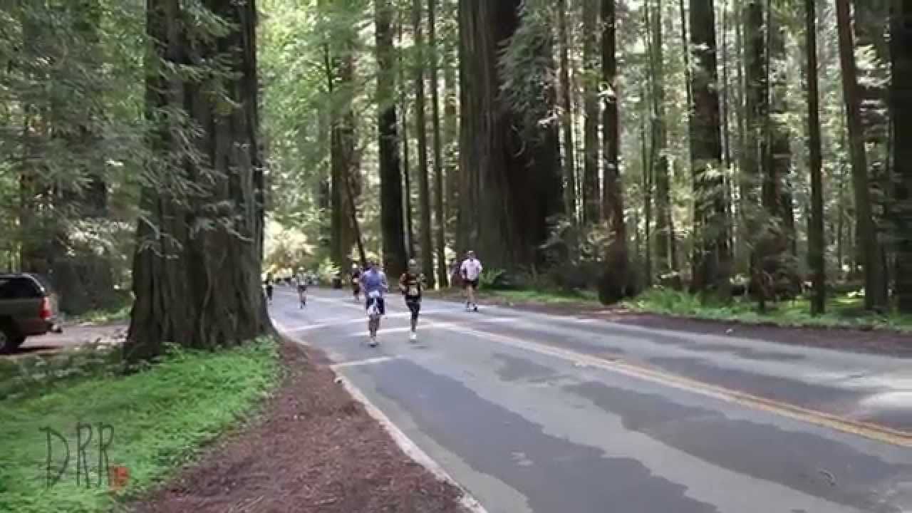 A Long Run the movie - Avenue of the Giants Race #20