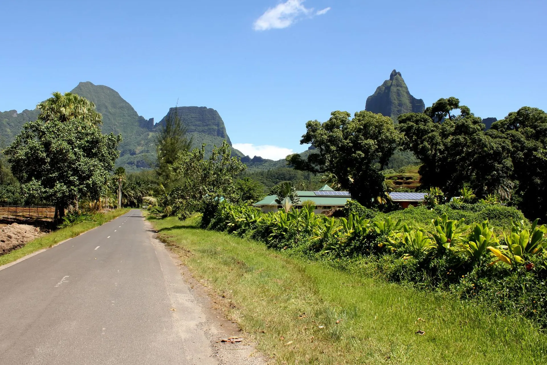 Tahiti Moorea Marathon