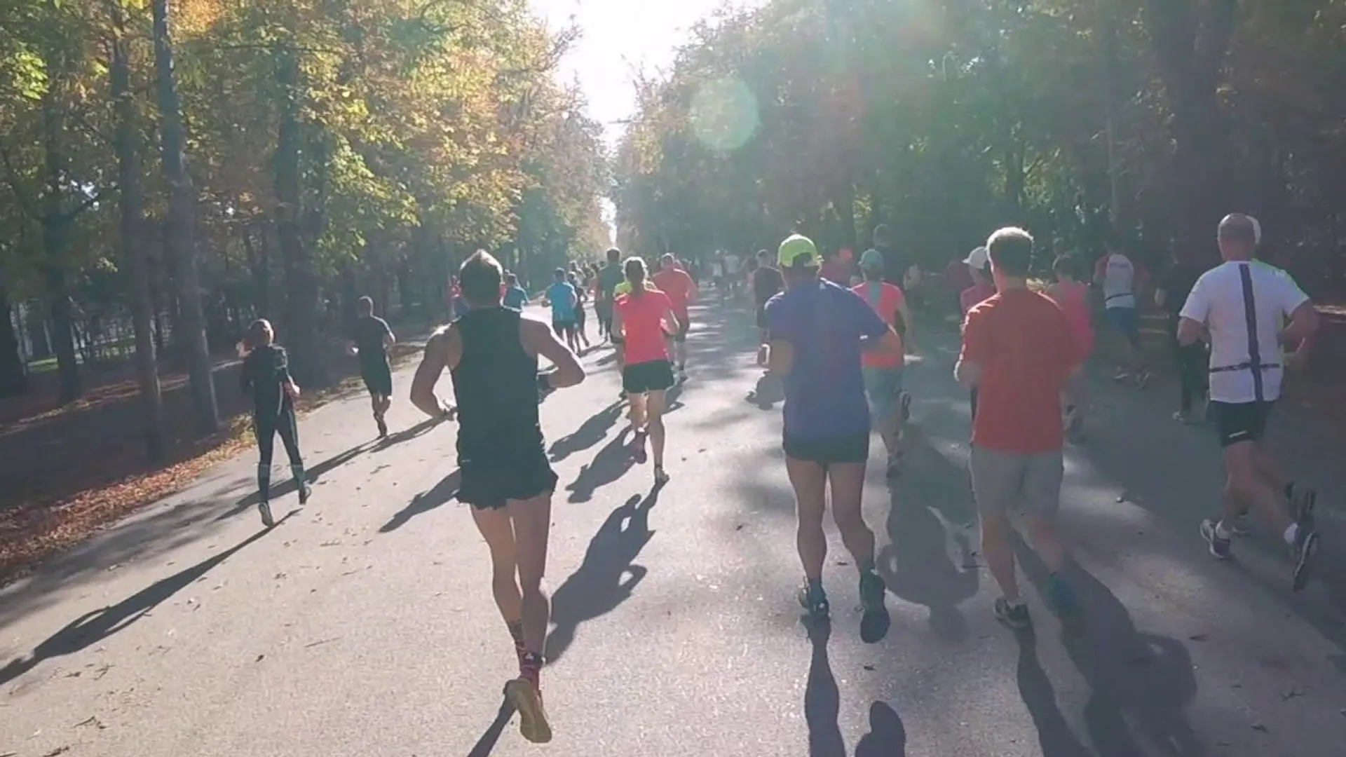 Herbstmarathon des LCC-Wien