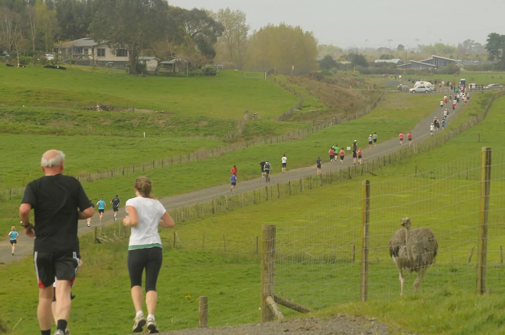 This image shows a rural road with a group of people participating in what appears to