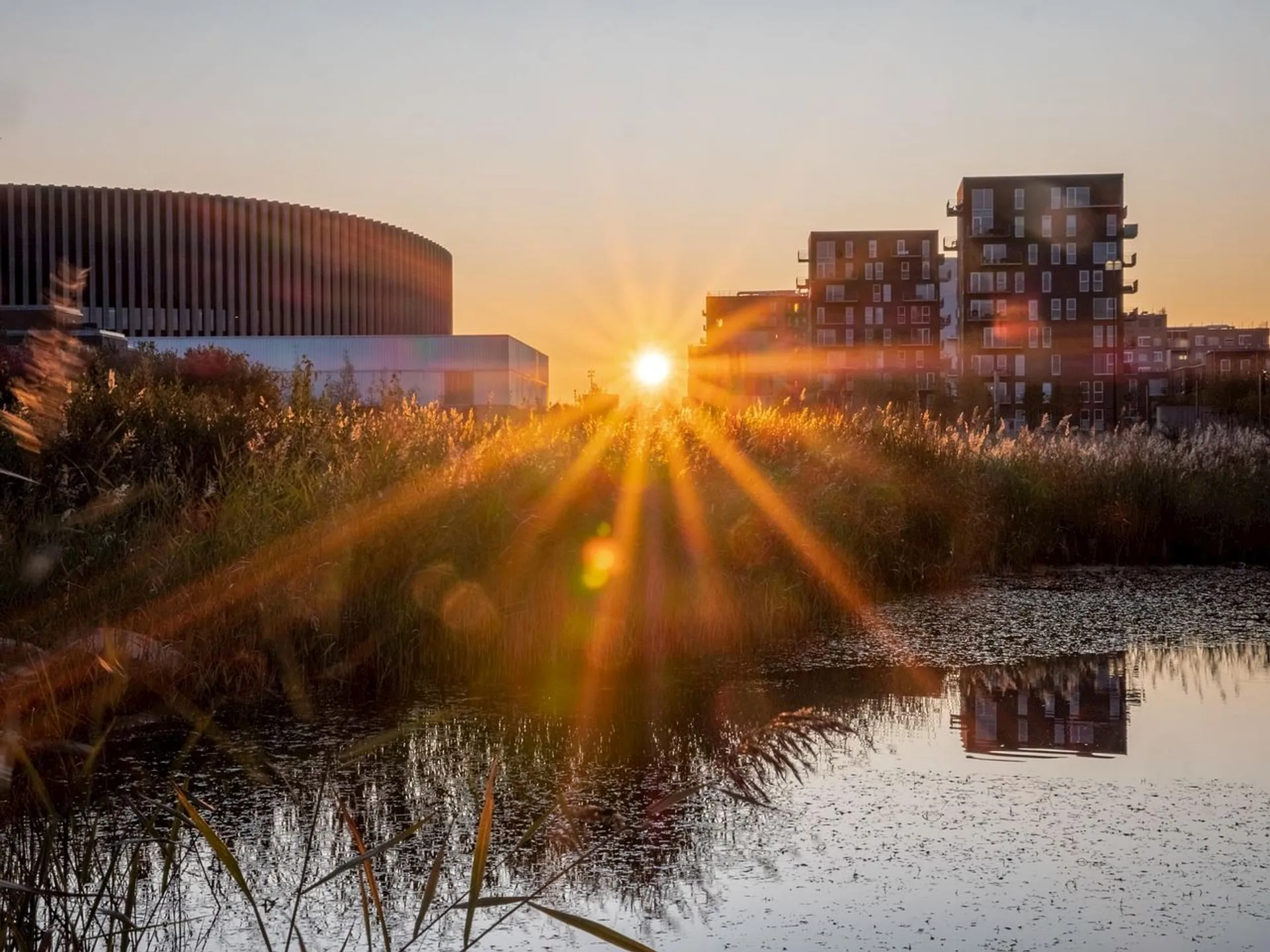 Image of Ørestad Half Marathon
