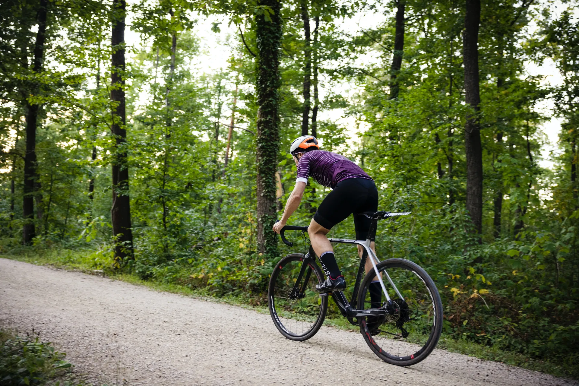 Race theme: Forest