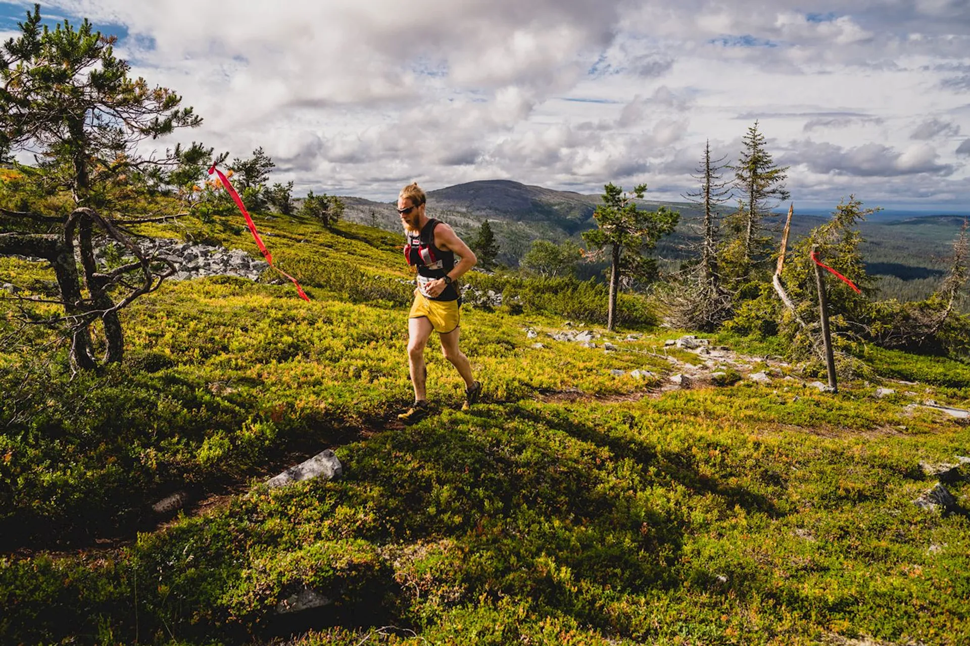 Vuokatti Trail Challenge - main photo