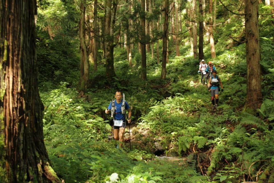 forest course 2