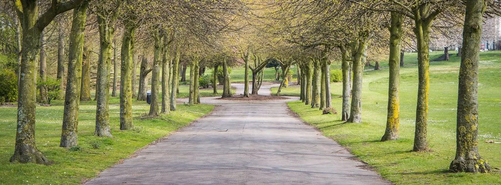 Weald Country Park (Essex) 10K