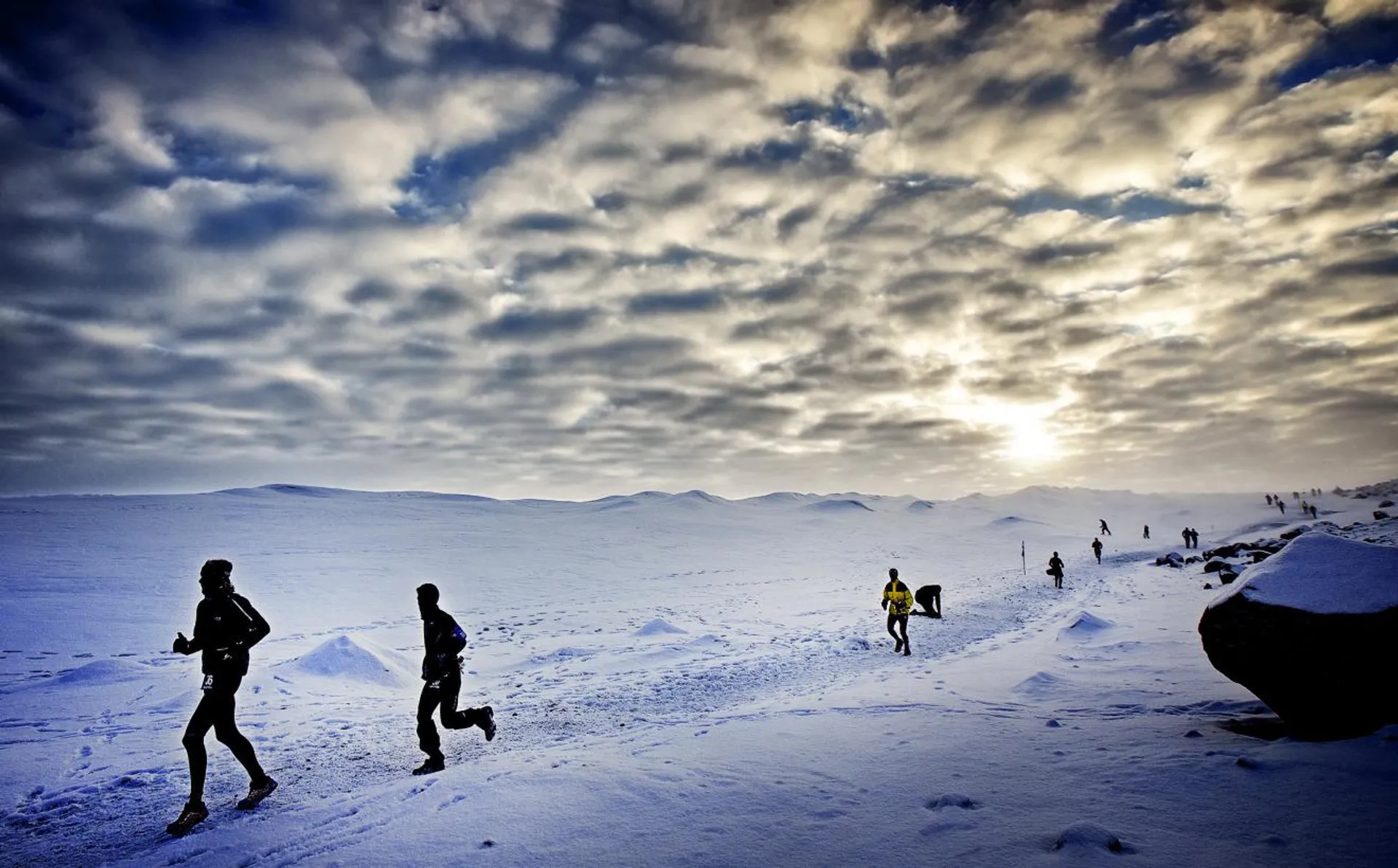 Polar Circle Marathon® and Half Marathon