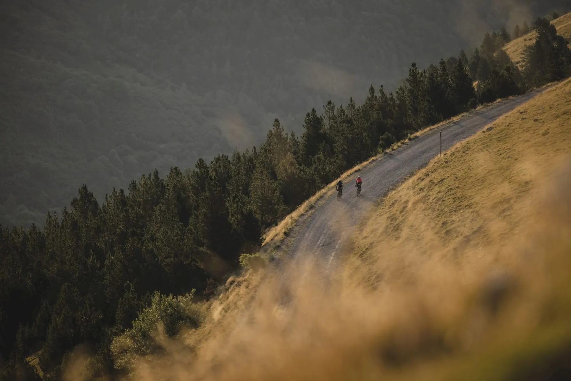 The Capitals - Gravel Bikepacking