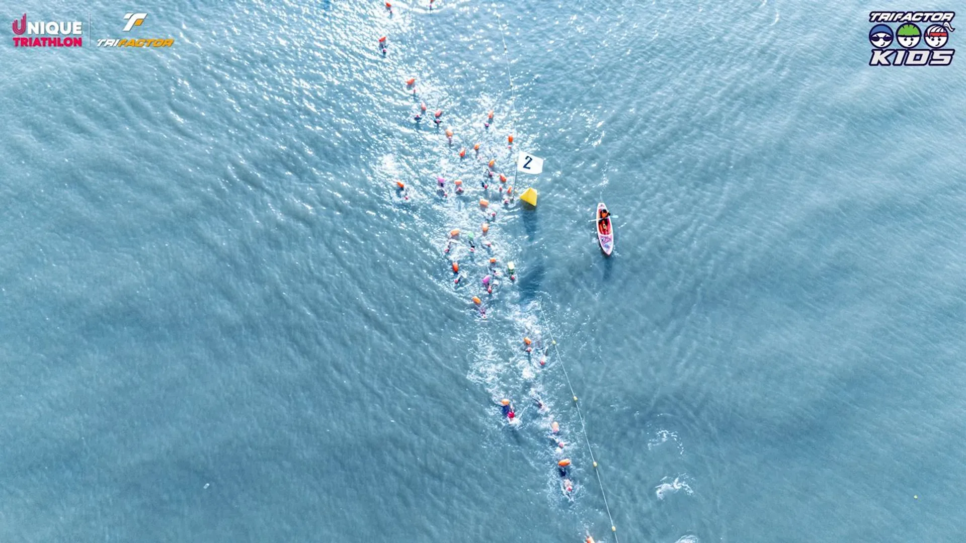 Image of TriFactor Vietnam Championship