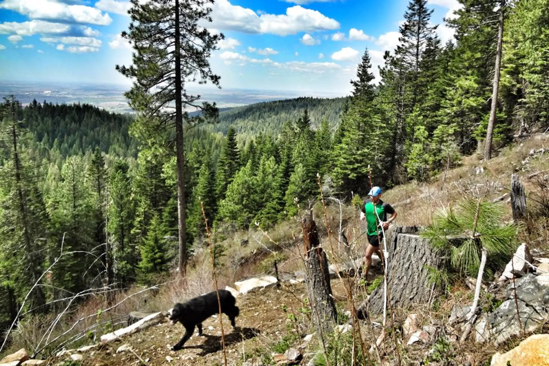 The image shows a forested, hilly landscape under a blue sky with some