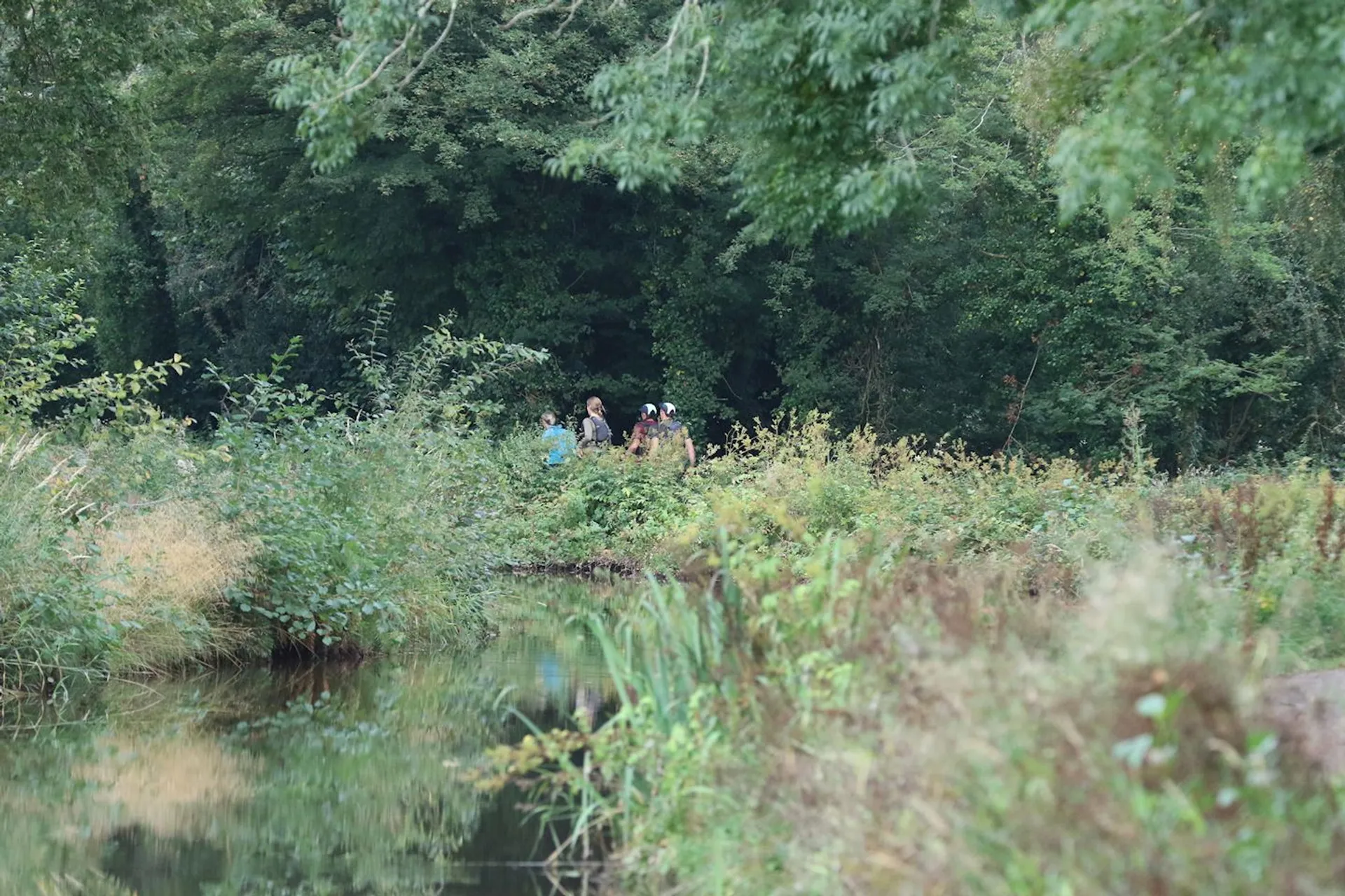 The image shows a natural outdoor setting with a body of water that appears to be