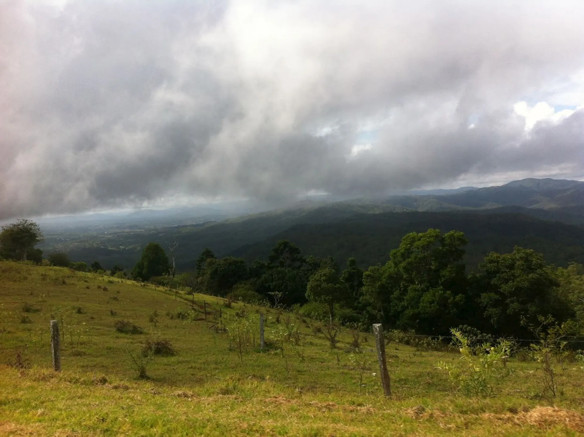 Mt Mee Classic Trail Marathon - main photo