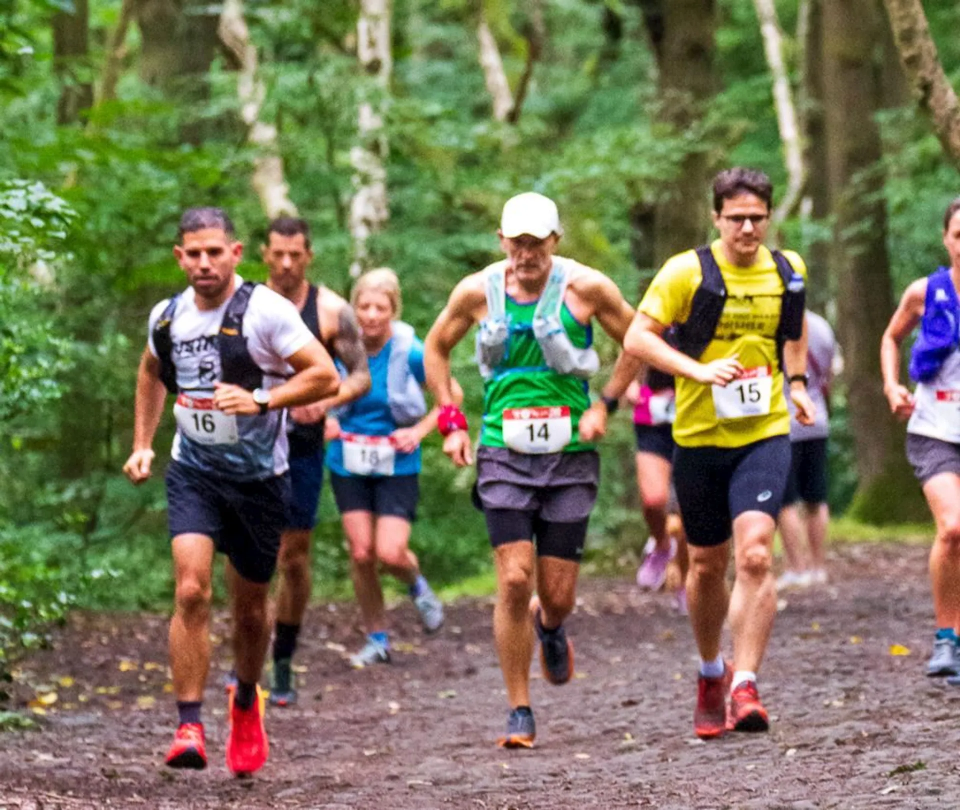 Image of Meanwood Holly Hustle