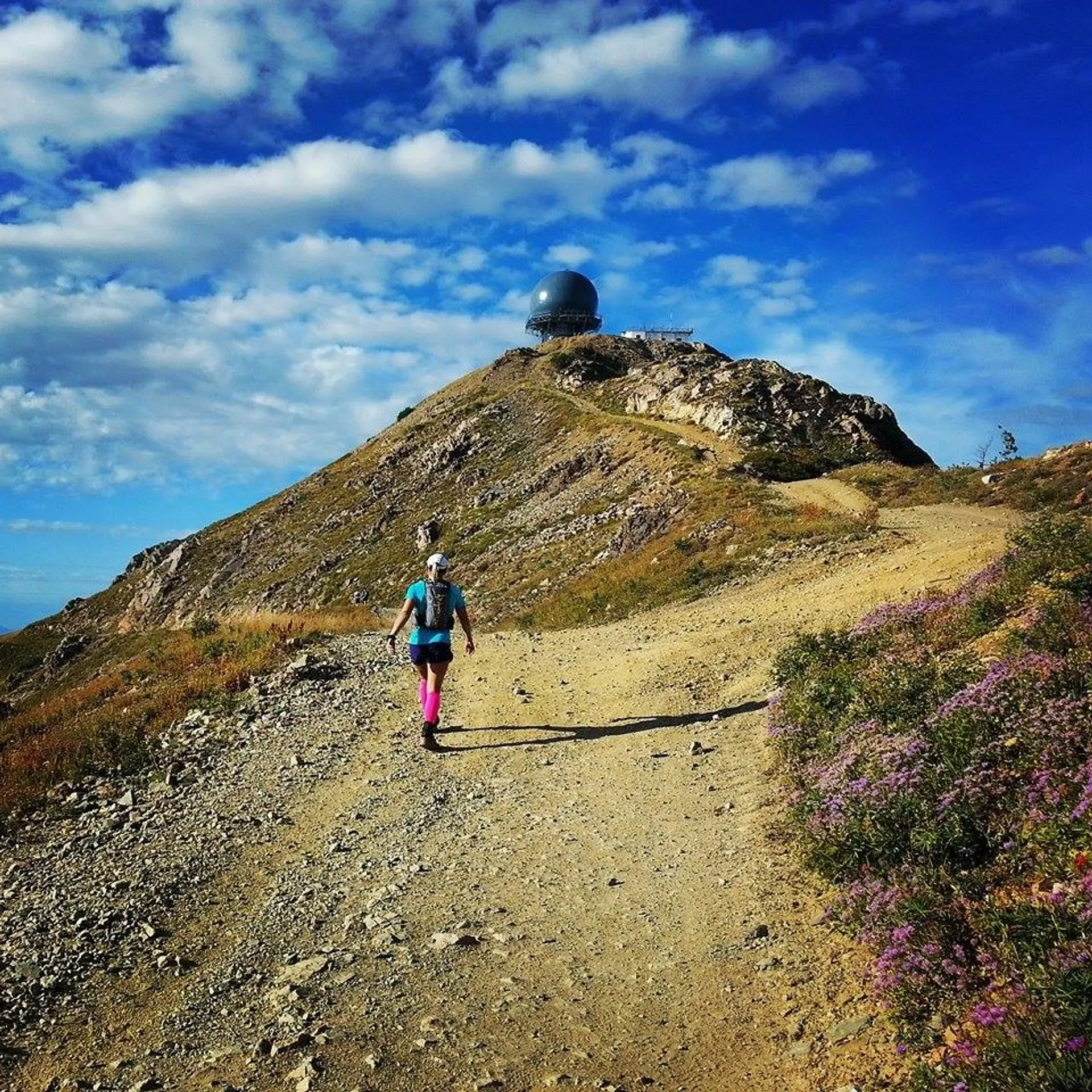 Wasatch Front 100 Mile Endurance Run