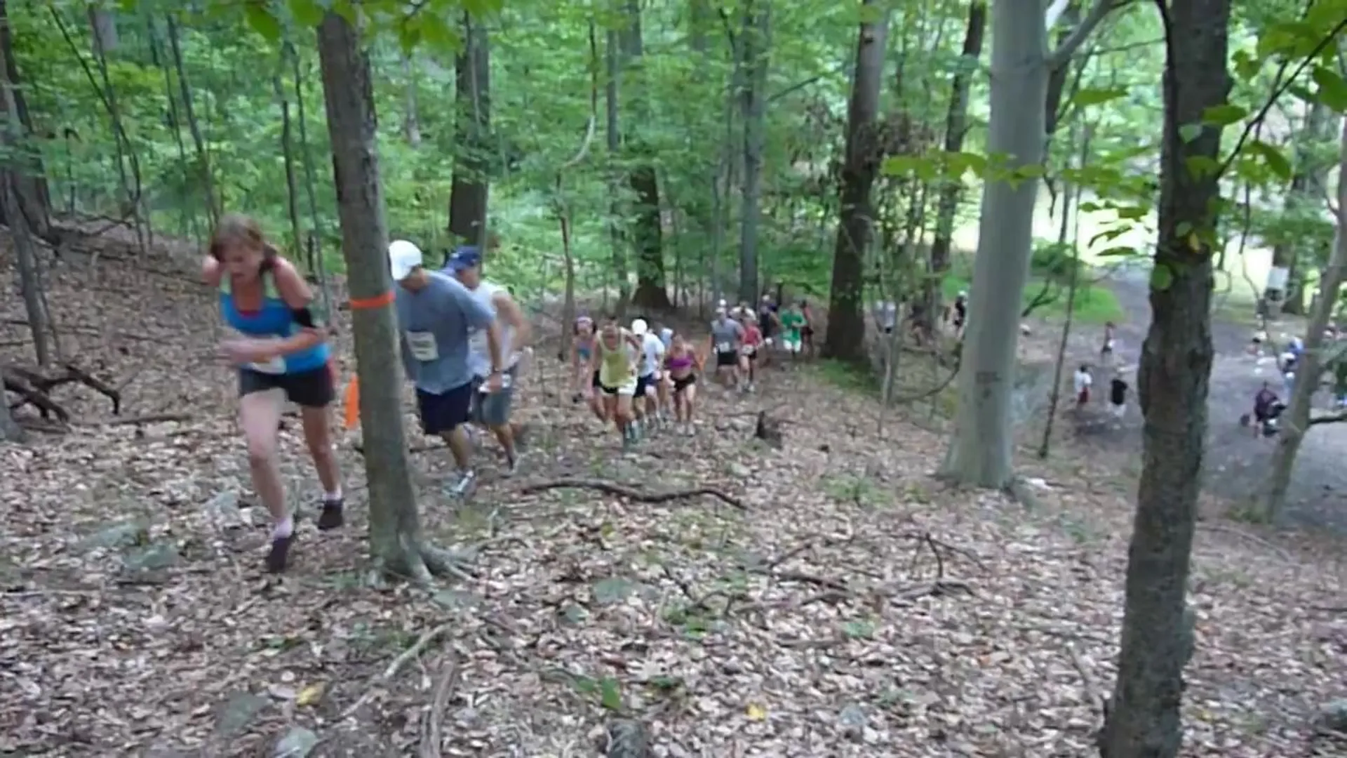 Half-Wit Half Marathon Trail Run