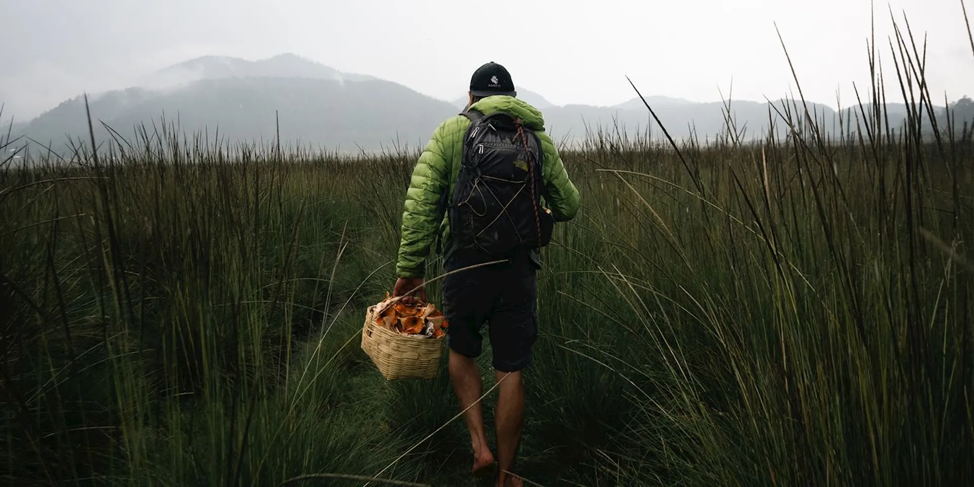 The image shows a person walking through a grassy field with a backdrop of mountains that are shrouded in mist or fog. The person is wearing a green jacket and a backpack and appears to be equipped for an outdoor adventure or hike. They are also holding a woven basket that contains what looks like a collection of wild mushrooms. The overall atmosphere of the photo is moody and suggests an early morning or overcast day, with the natural scenery creating a peaceful and somewhat solitary setting.