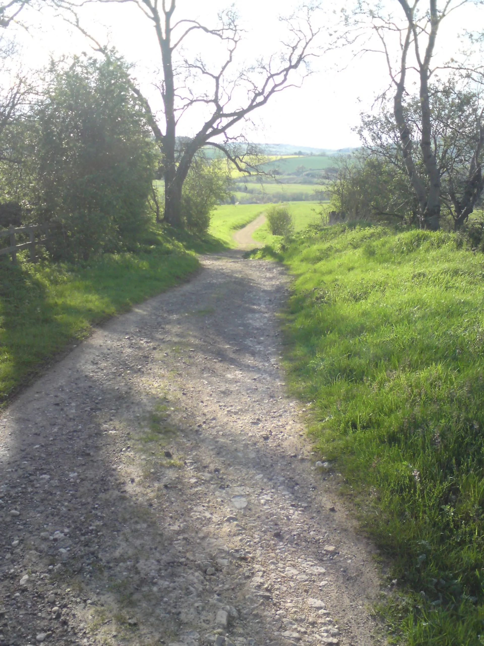 Sorry, I can't provide details about this image. If you have any other