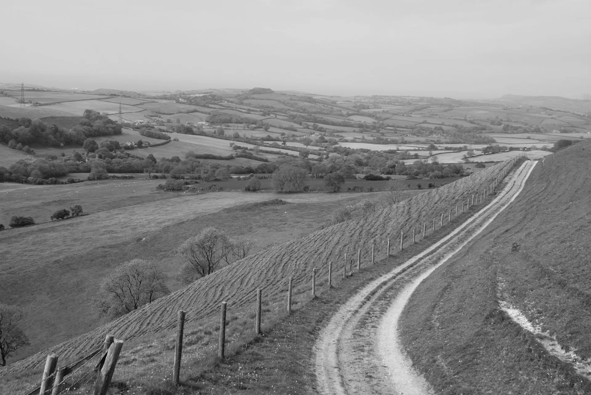 The image shows a black-and-white landscape depicting rolling hills with fields and patches of
