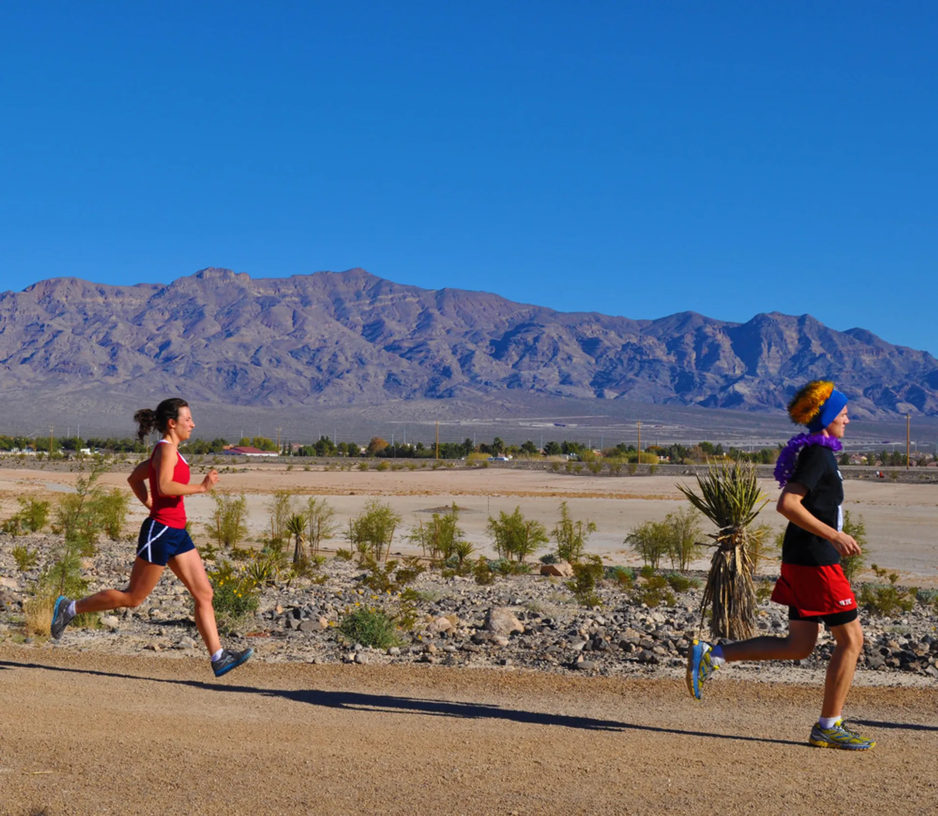 Vegas Moonlight Ultra - main photo