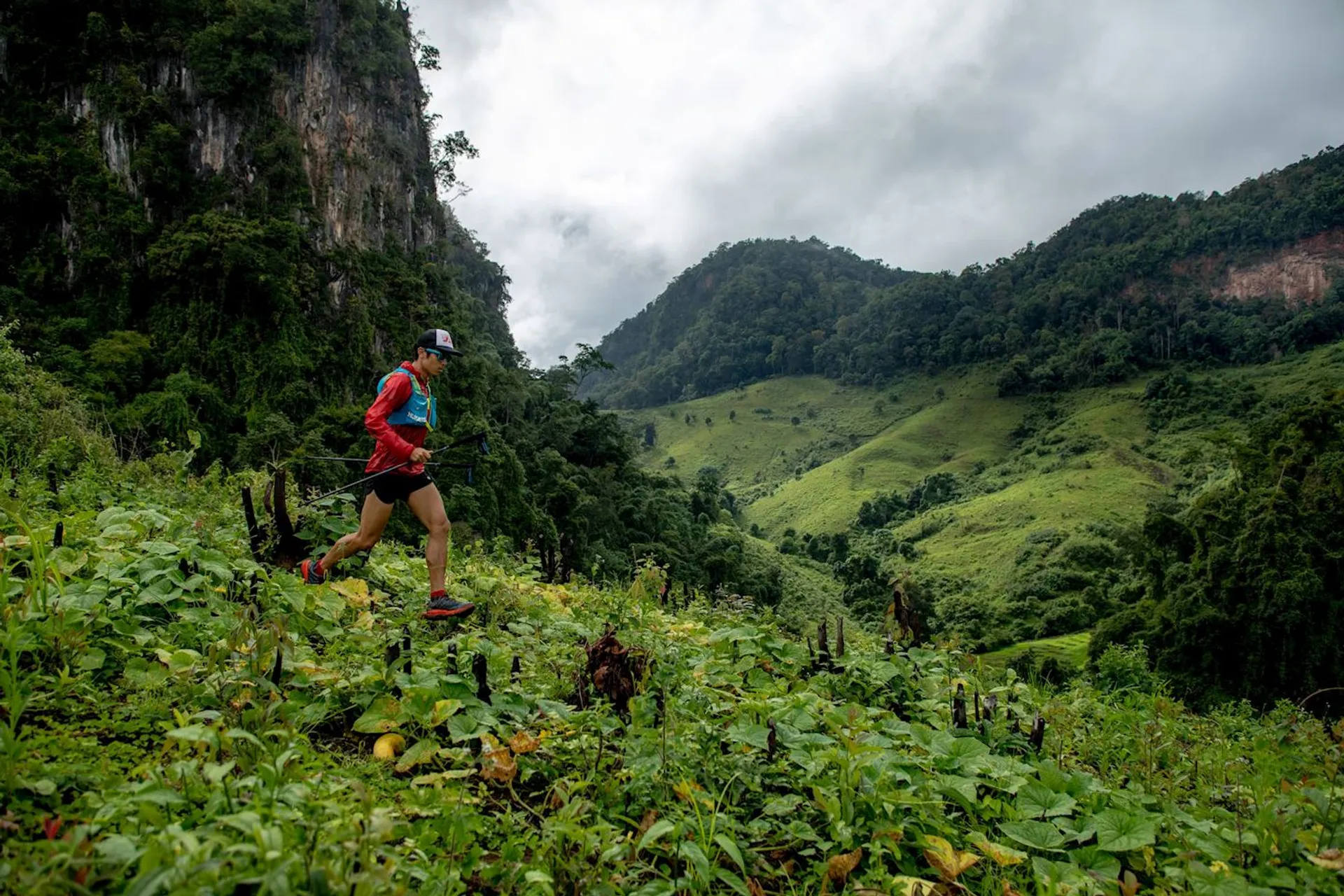 Goral Trail -  Pang Mapha