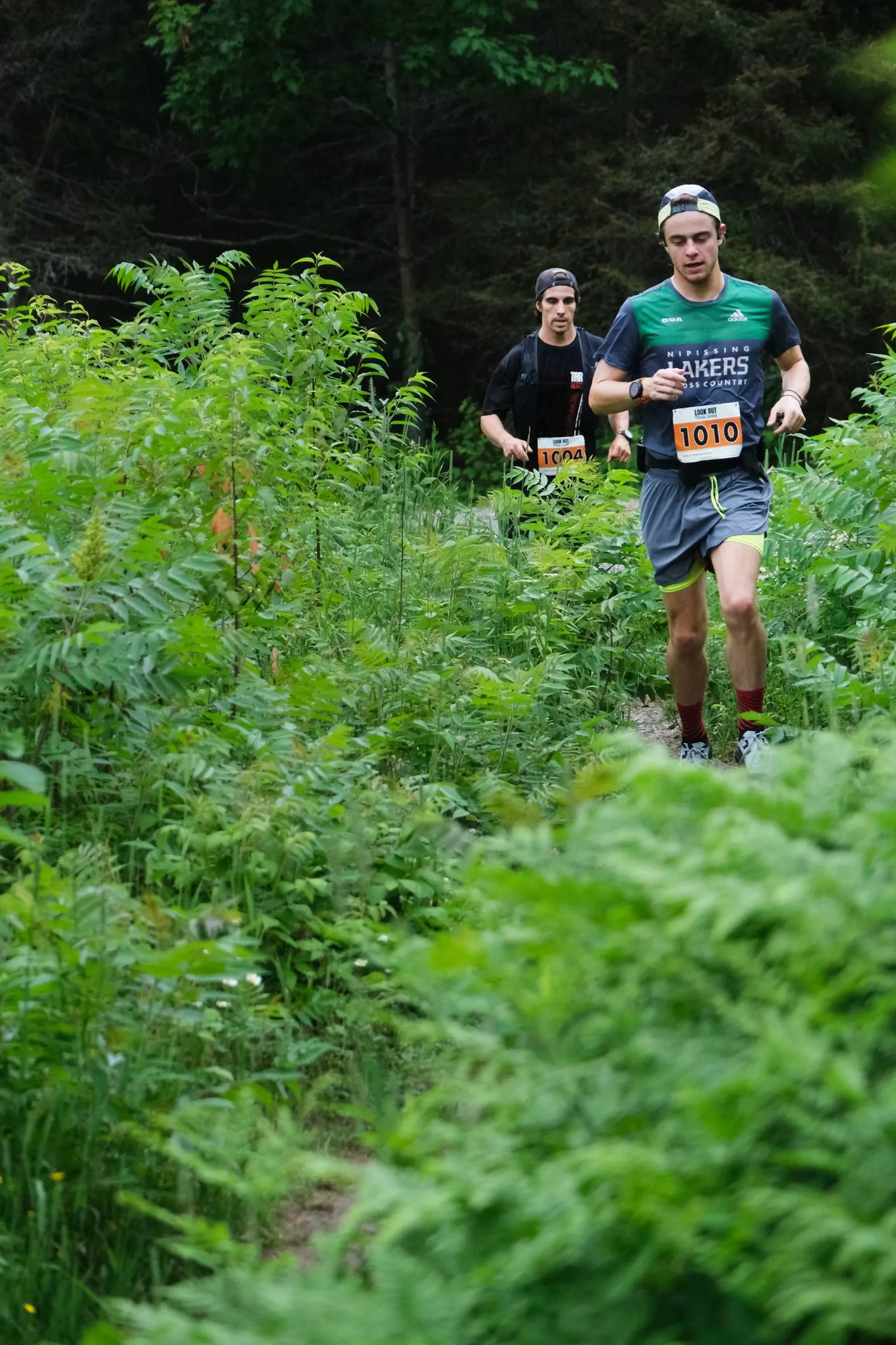 Look Out Trail Race - main photo