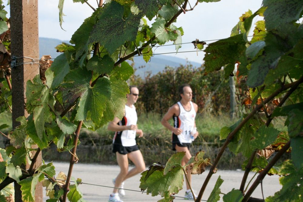 Marathon (and Half Marathon) "Cities of Wine"
