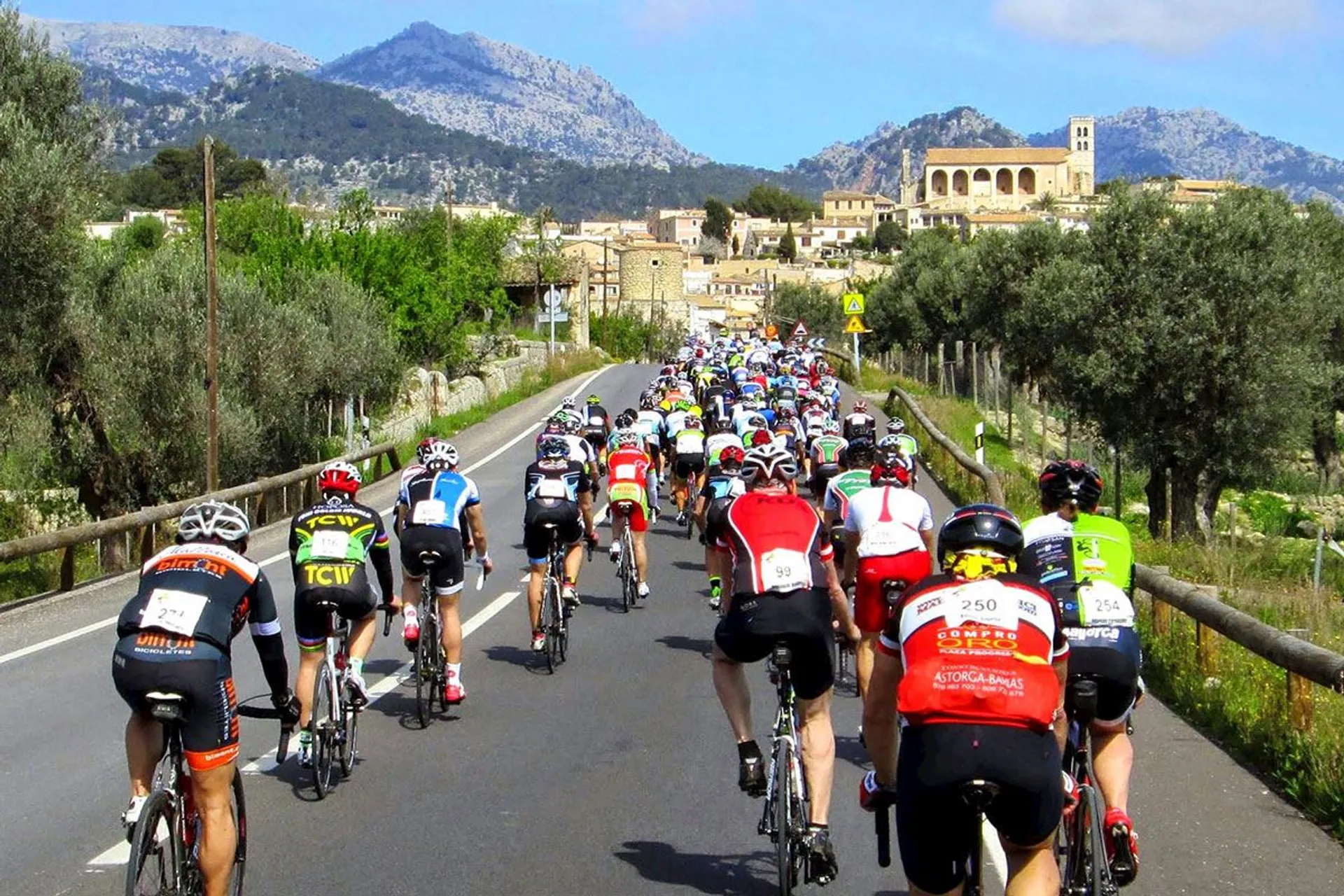 Image of Salt de Tramuntana