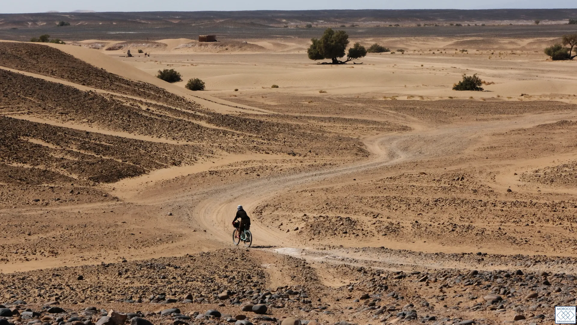 The image shows an arid desert landscape with rolling sandy hills and sparse vegetation.