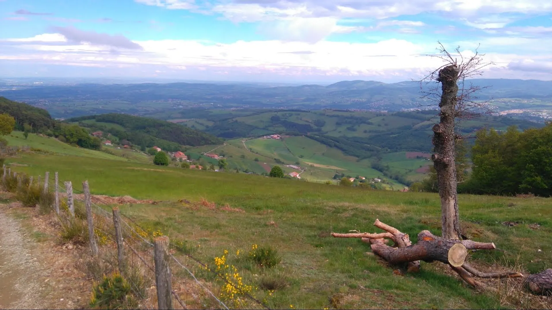 The image shows a picturesque landscape. In the foreground, there is a grassy