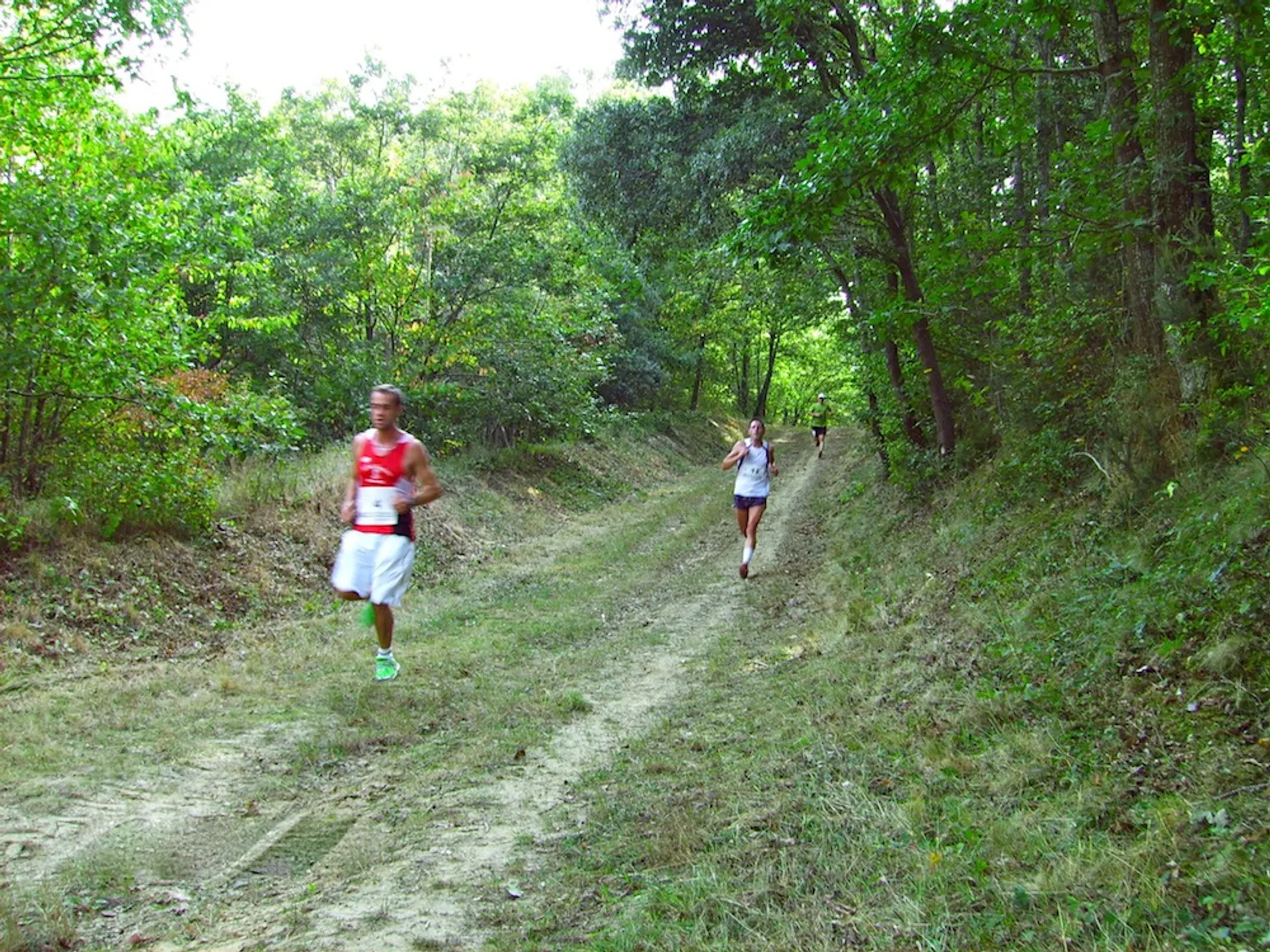 The image depicts a forest scene with two individuals engaging in outdoor activity. There is