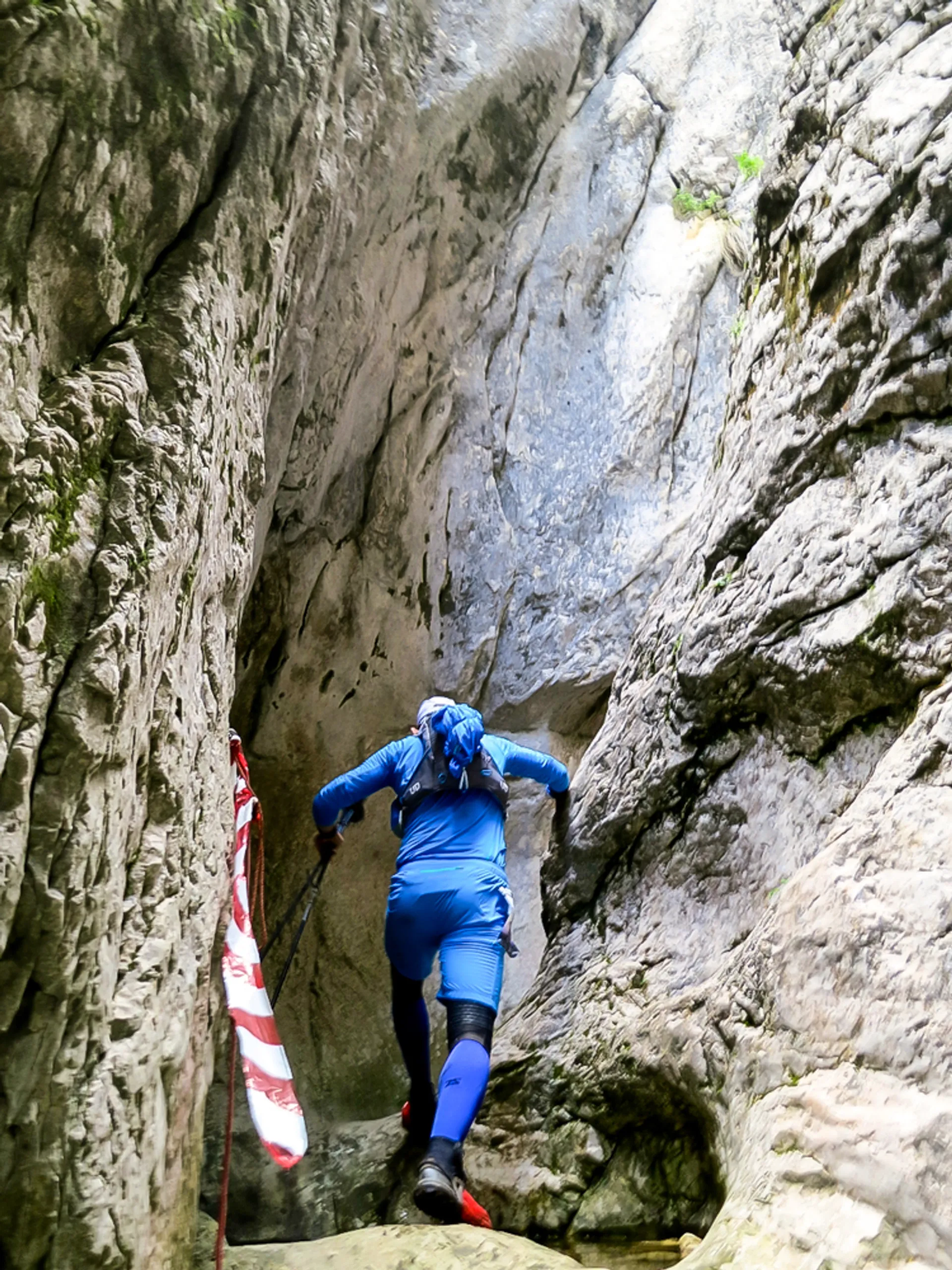 Transylvania Trail - main photo